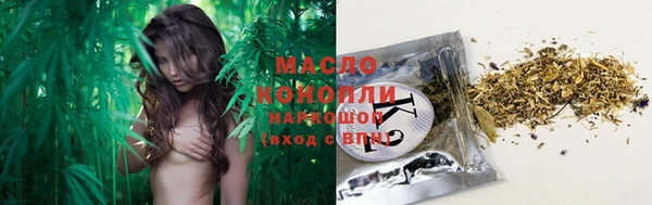 дживик Бородино
