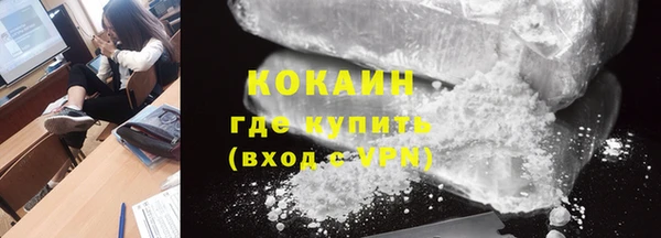 дживик Бородино