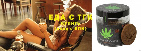 дживик Бородино