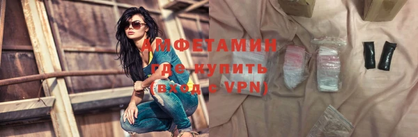 дживик Бородино