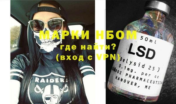 дживик Бородино