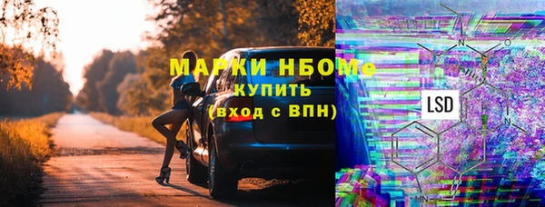 дживик Бородино