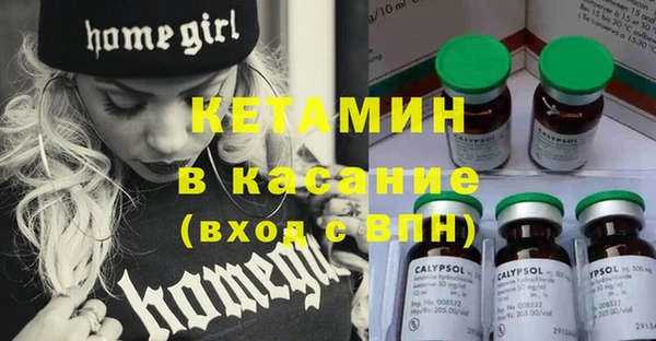 дживик Бородино