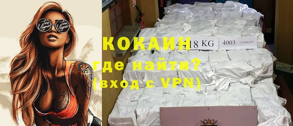 дживик Бородино