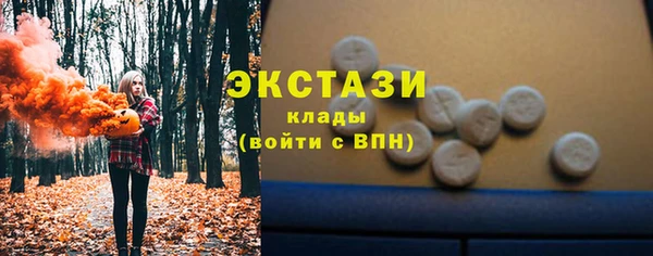 дживик Бородино