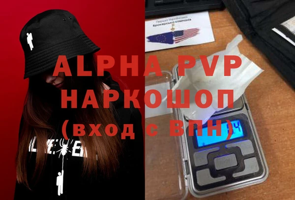 дживик Бородино